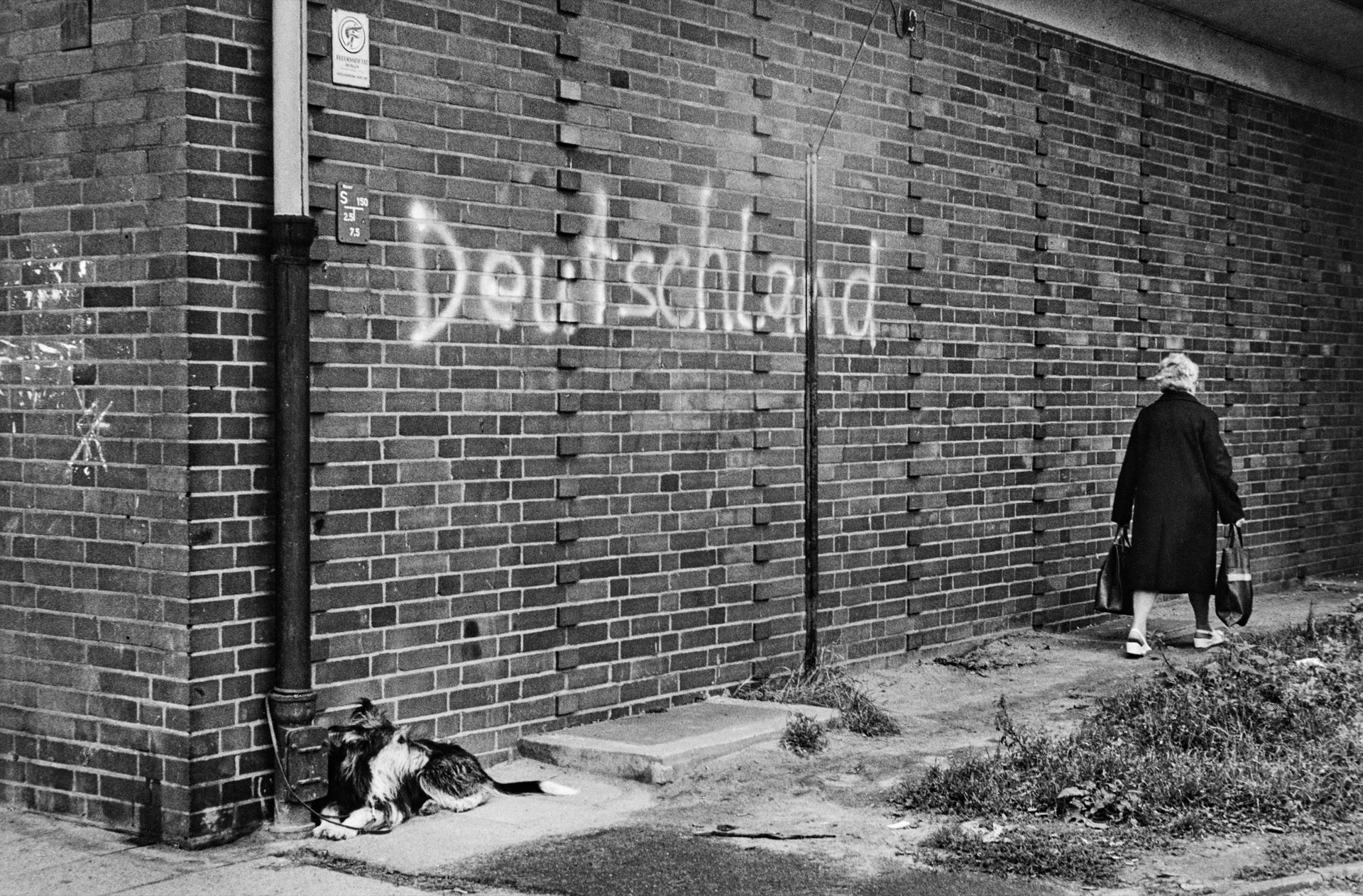 Ohne Titel