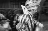 Dreigestirn, Kölner Karneval