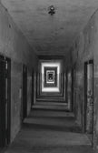 Ohne Titel