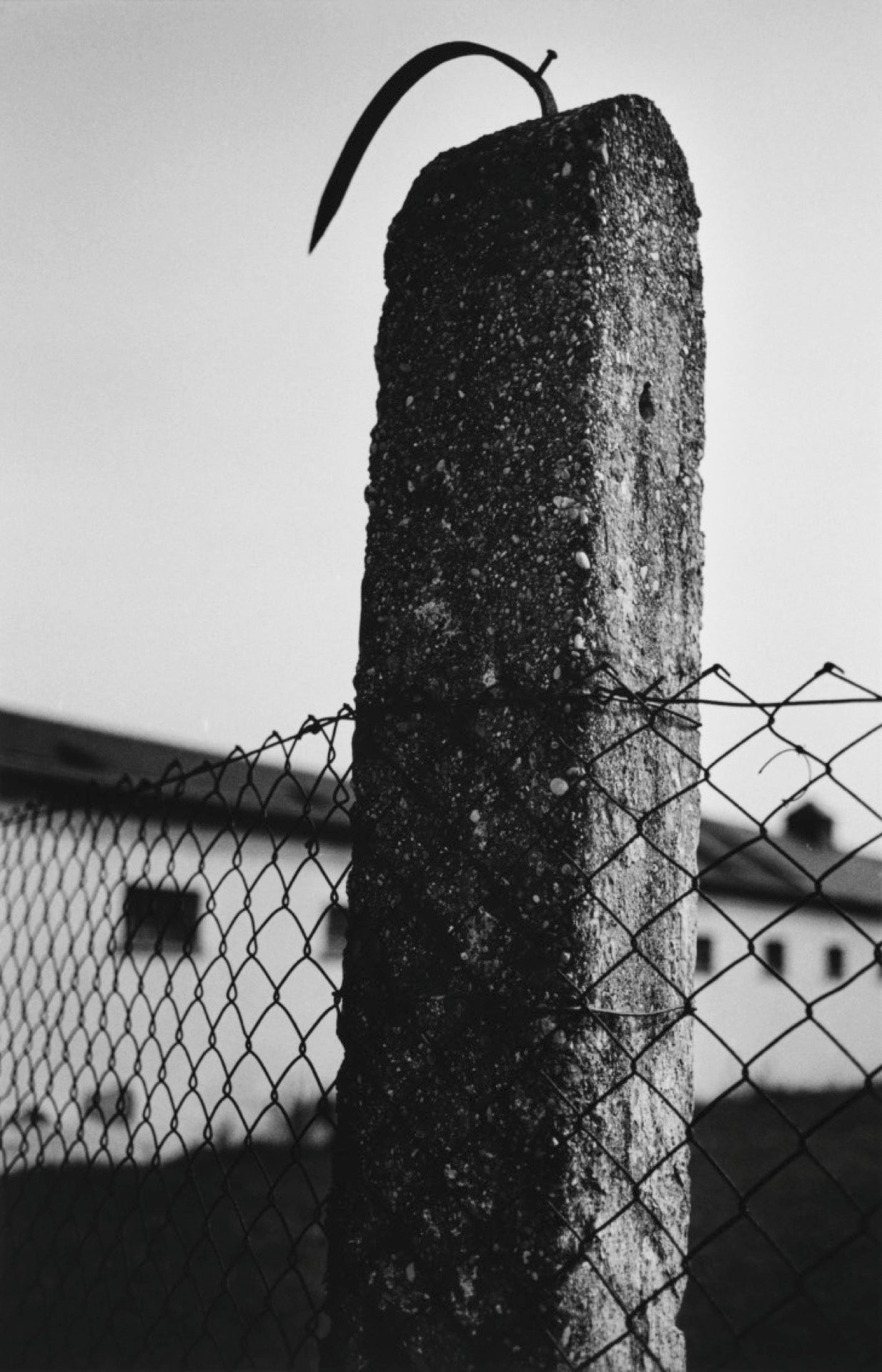 Ohne Titel