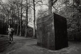 Richard Serra