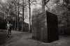 Richard Serra