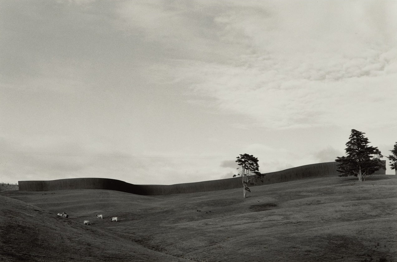 Richard Serra 'Te Tuhirangi Contour'