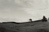 Richard Serra 'Te Tuhirangi Contour'