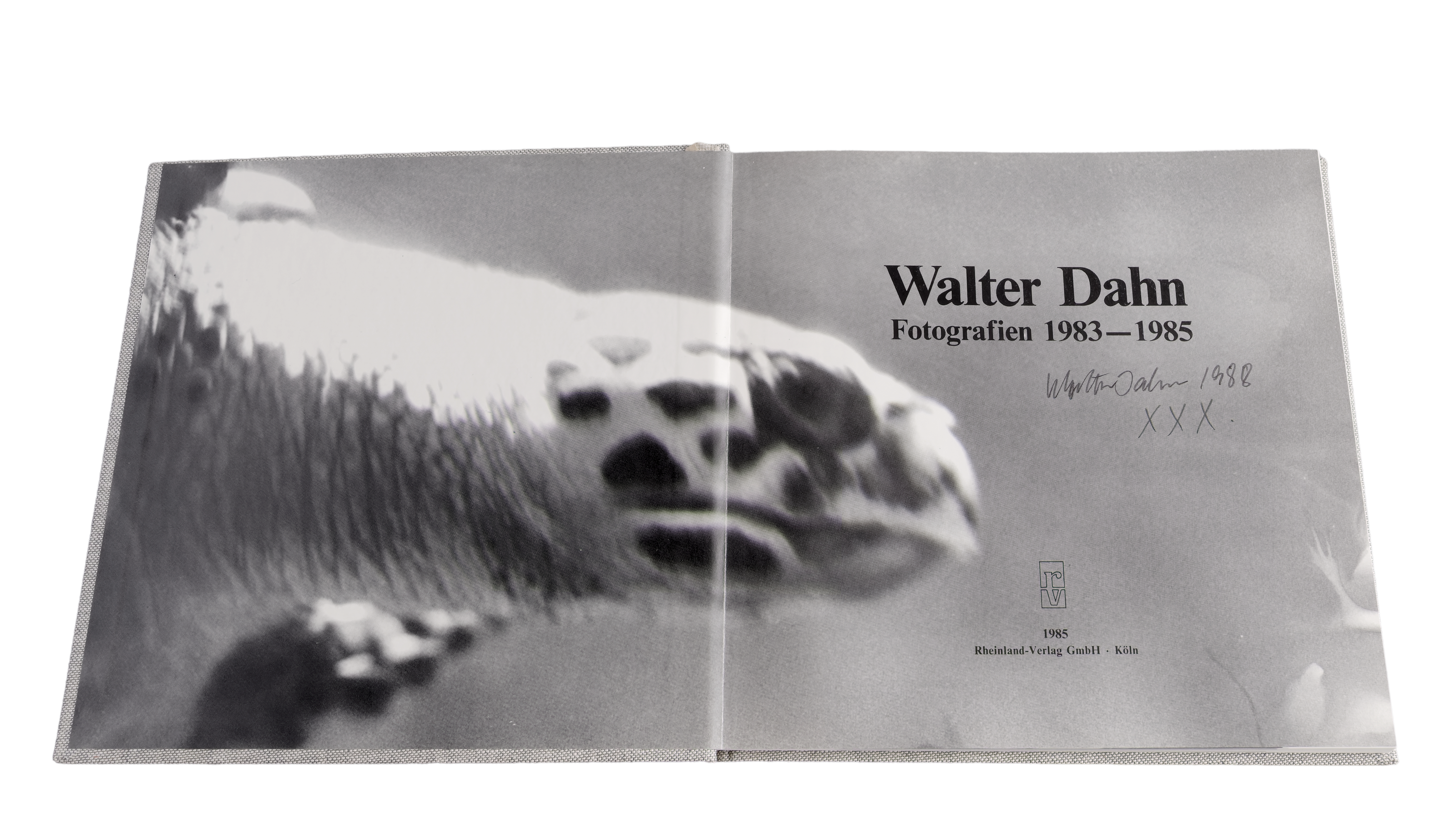Fotografien 1983-1985