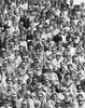 Tennisturnier am Rothenbaum
