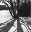 Winterlandschaft