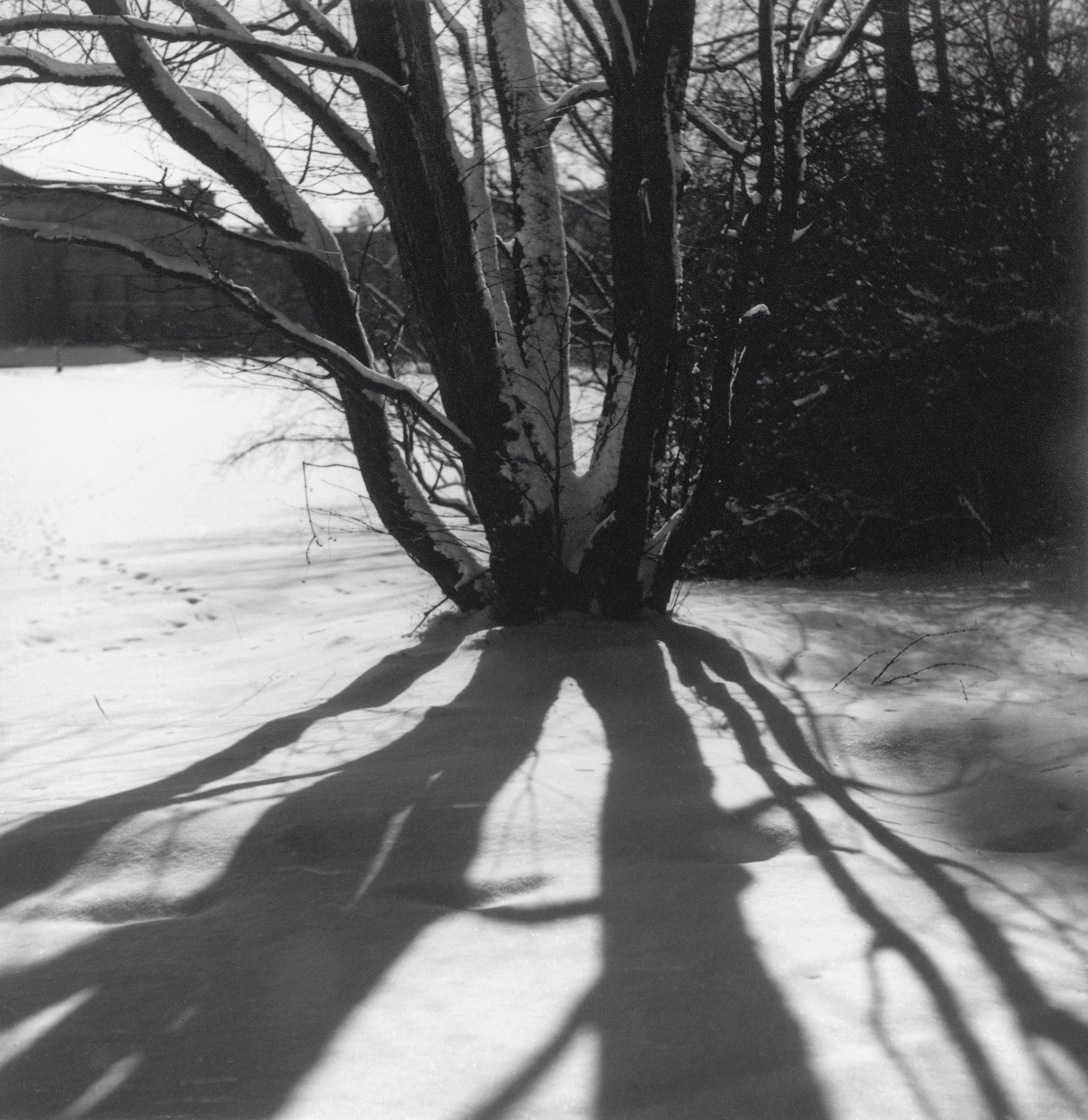 Winterlandschaft