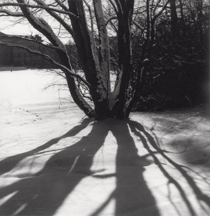 Winterlandschaft