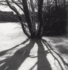 Winterlandschaft
