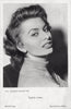 Sophia Loren