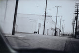 Untitled (LA_3_0045)