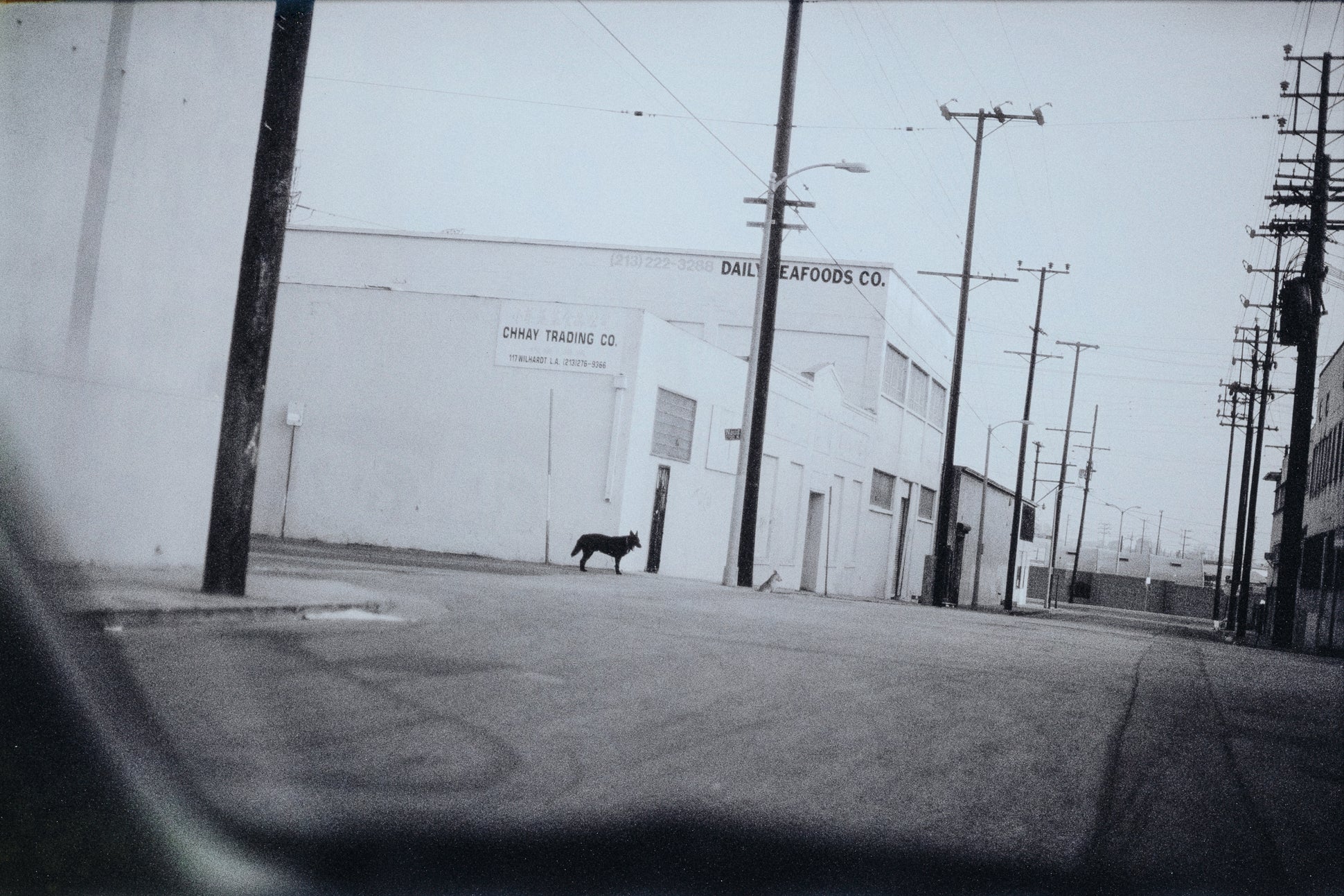Untitled (LA_3_0045)