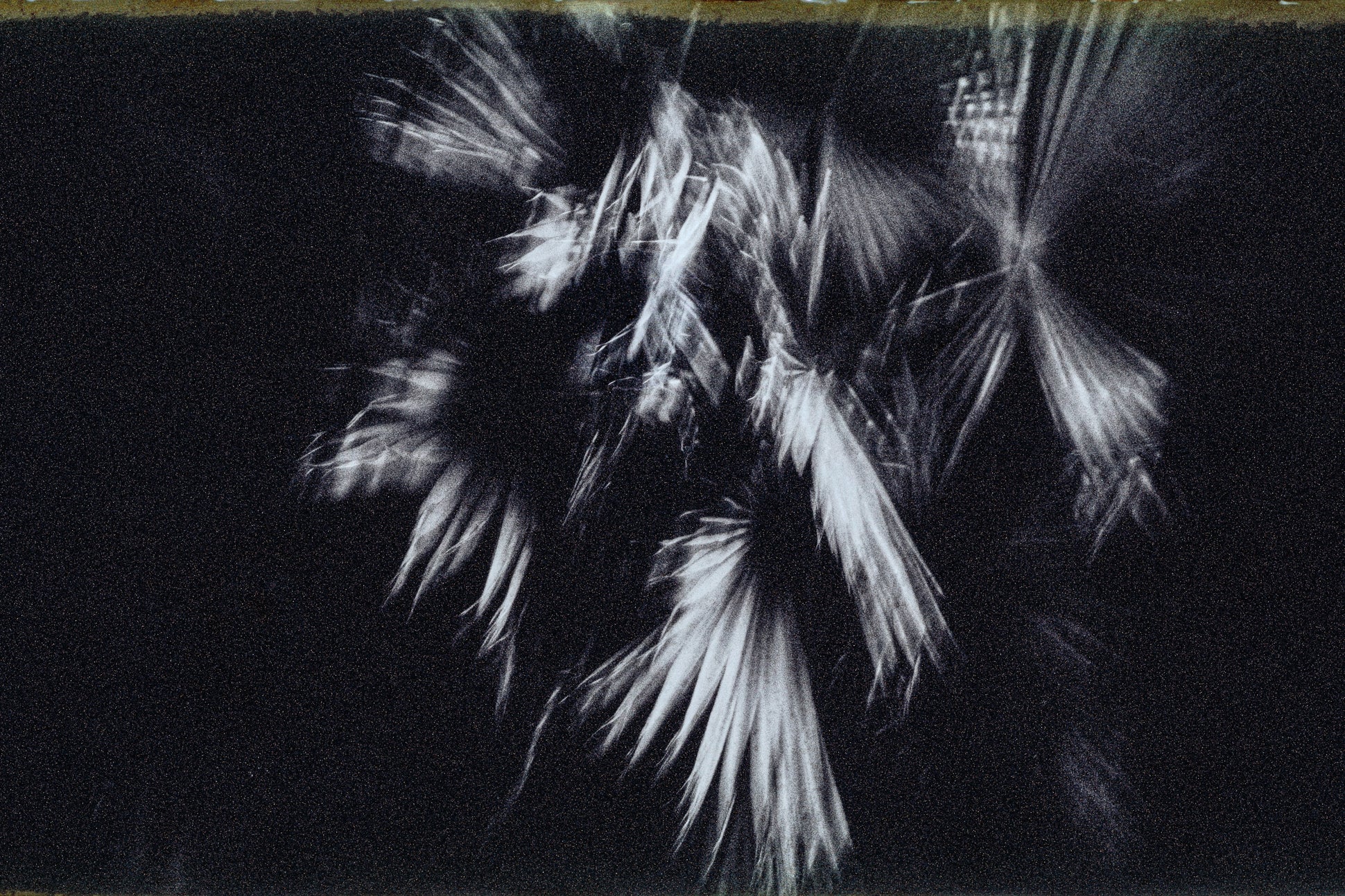 Untitled (LA_3_0056)