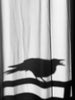 Ohne Titel