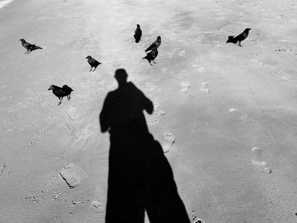 Ohne Titel