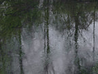 Ohne Titel (R 10772)
