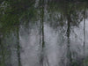 Ohne Titel (R 10772)