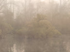 Ohne Titel (R 8980)