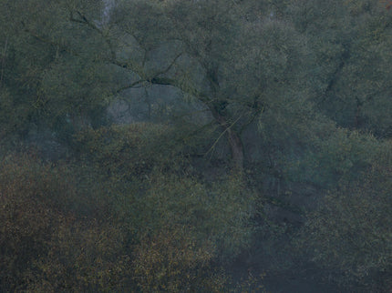 Ohne Titel (R 7621)