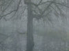 Ohne Titel (R 2689)