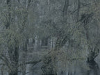 Ohne Titel (R 2004)