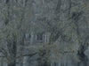 Ohne Titel (R 2004)