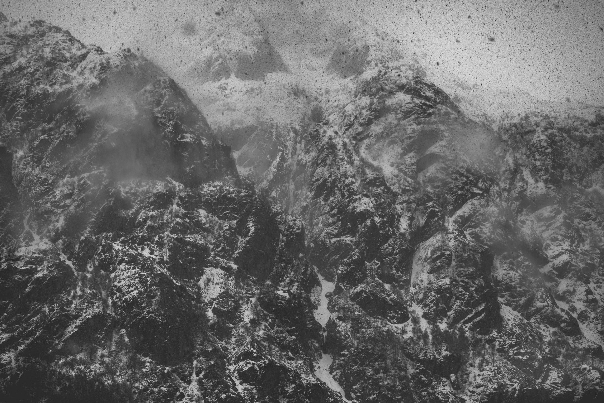 Untitled (CM 13982)