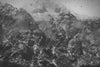 Untitled (CM 13982)