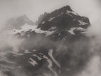 Ohne Titel (CM 15313)