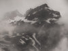 Ohne Titel (CM 15313)