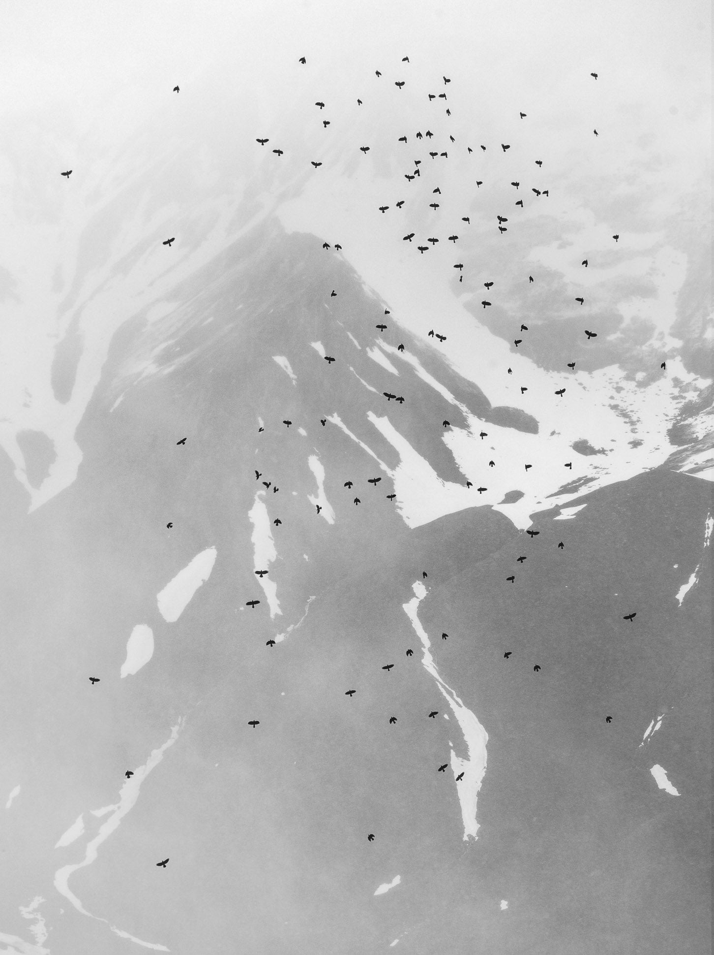 Ohne Titel (CM 16792)