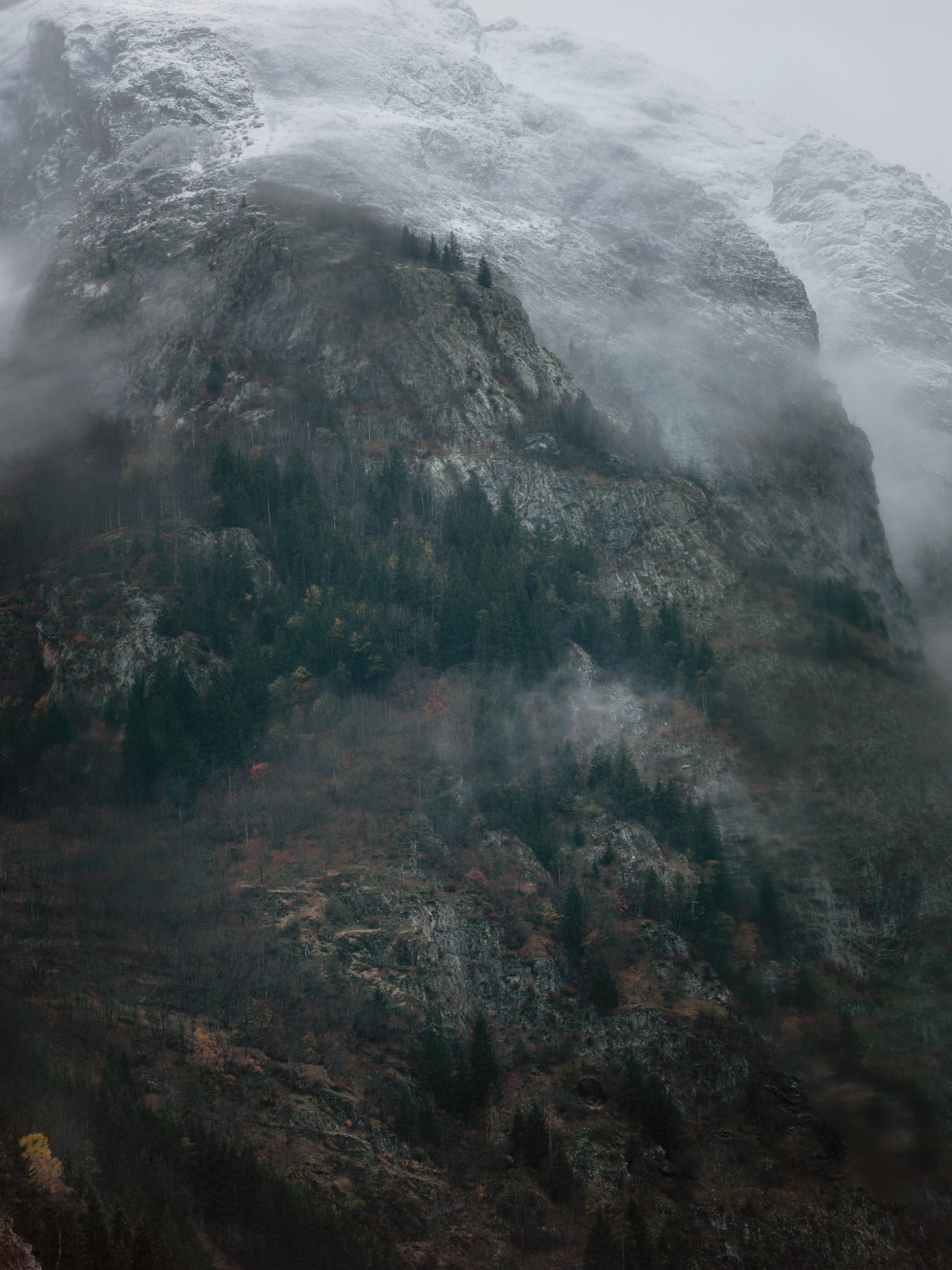 Ohne Titel (CM F21789)