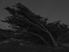 Ohne Titel (ML 5893)