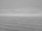 Untitled (ML 3555-8)