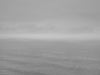 Untitled (ML 3555-8)