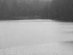 Ohne Titel (P 10094)