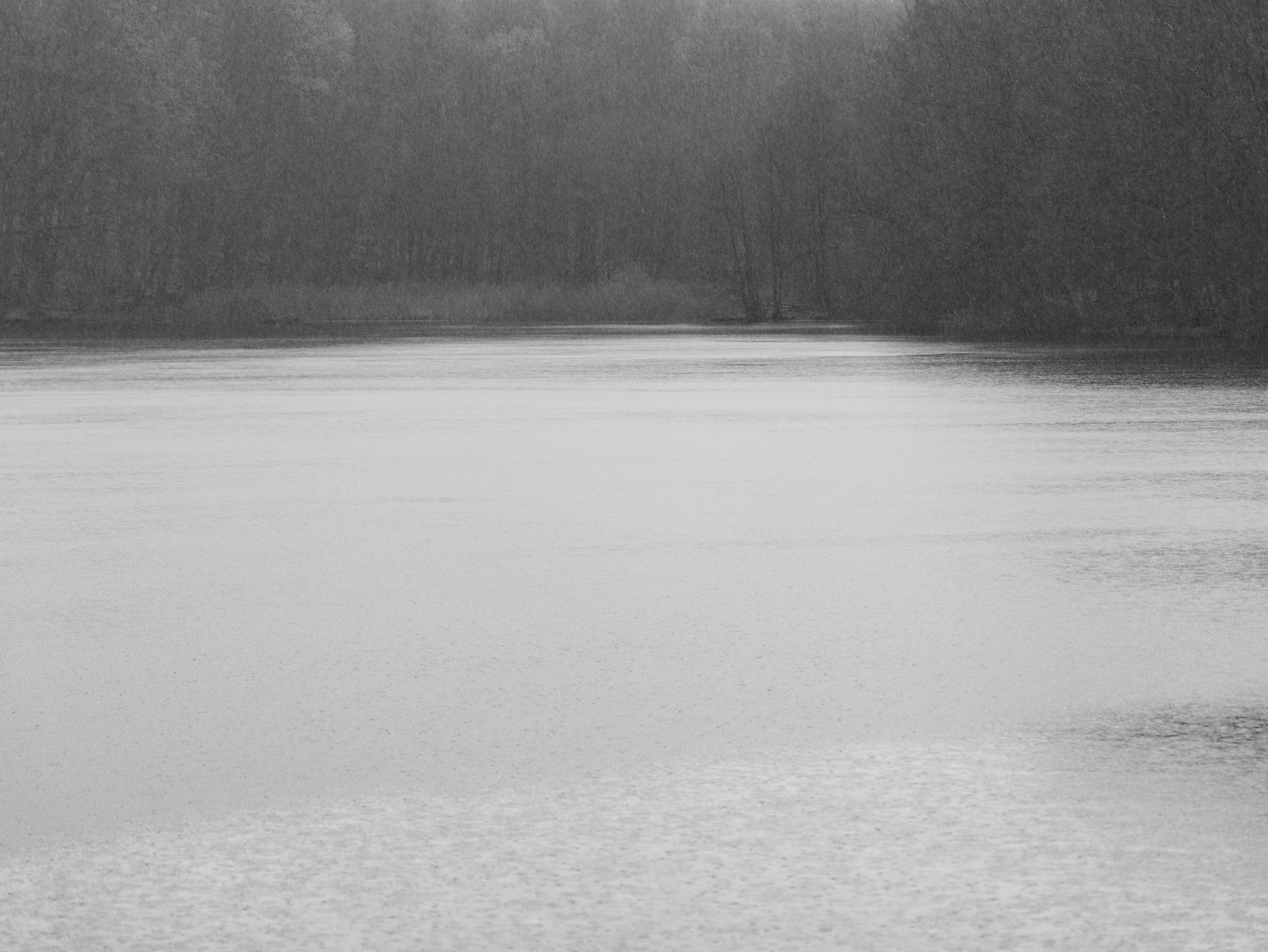 Ohne Titel (P 10094)