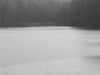 Ohne Titel (P 10094)