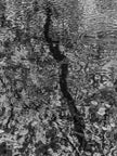 Ohne Titel (P c8365)