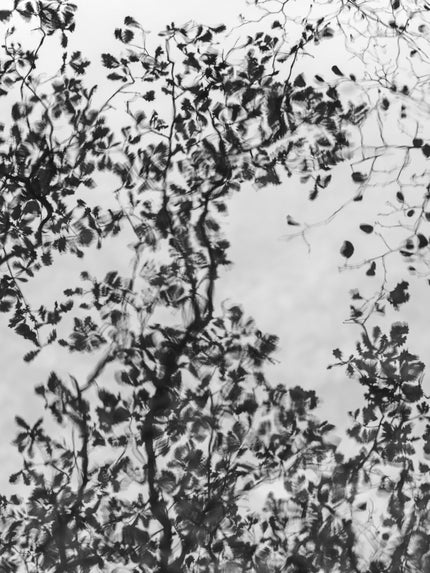 Ohne Titel (P c8057)