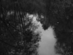 Ohne Titel (P c7827)