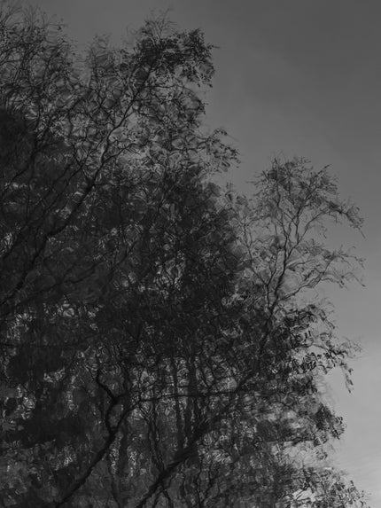 Ohne Titel (P c7665)