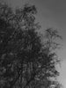 Ohne Titel (P c7665)