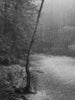 Untitled (P 6389)