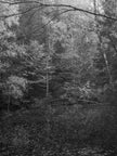 Ohne Titel (P 4027-D 1-2)