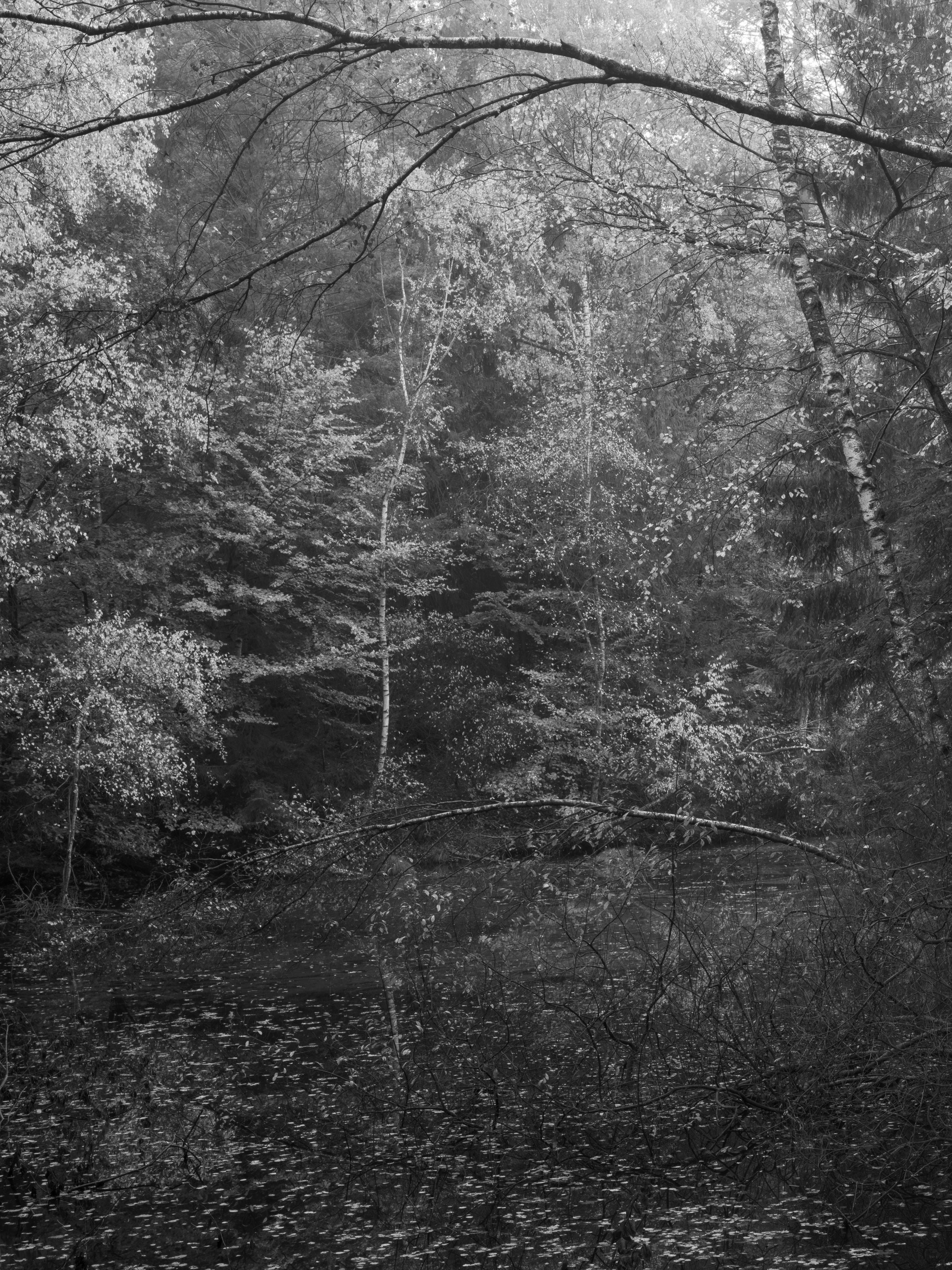 Ohne Titel (P 4027-D 1-2)