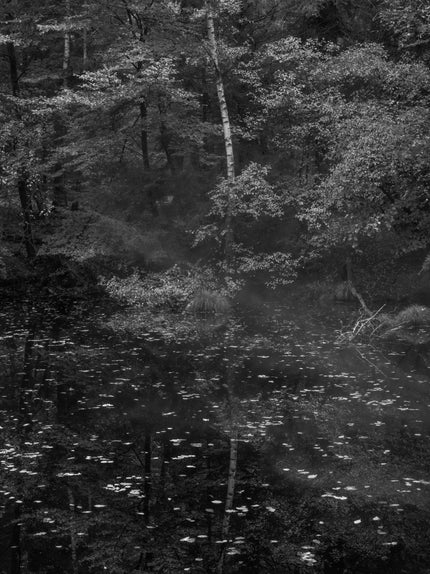 Ohne Titel (P 2931)