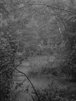 Ohne Titel (P 1840)
