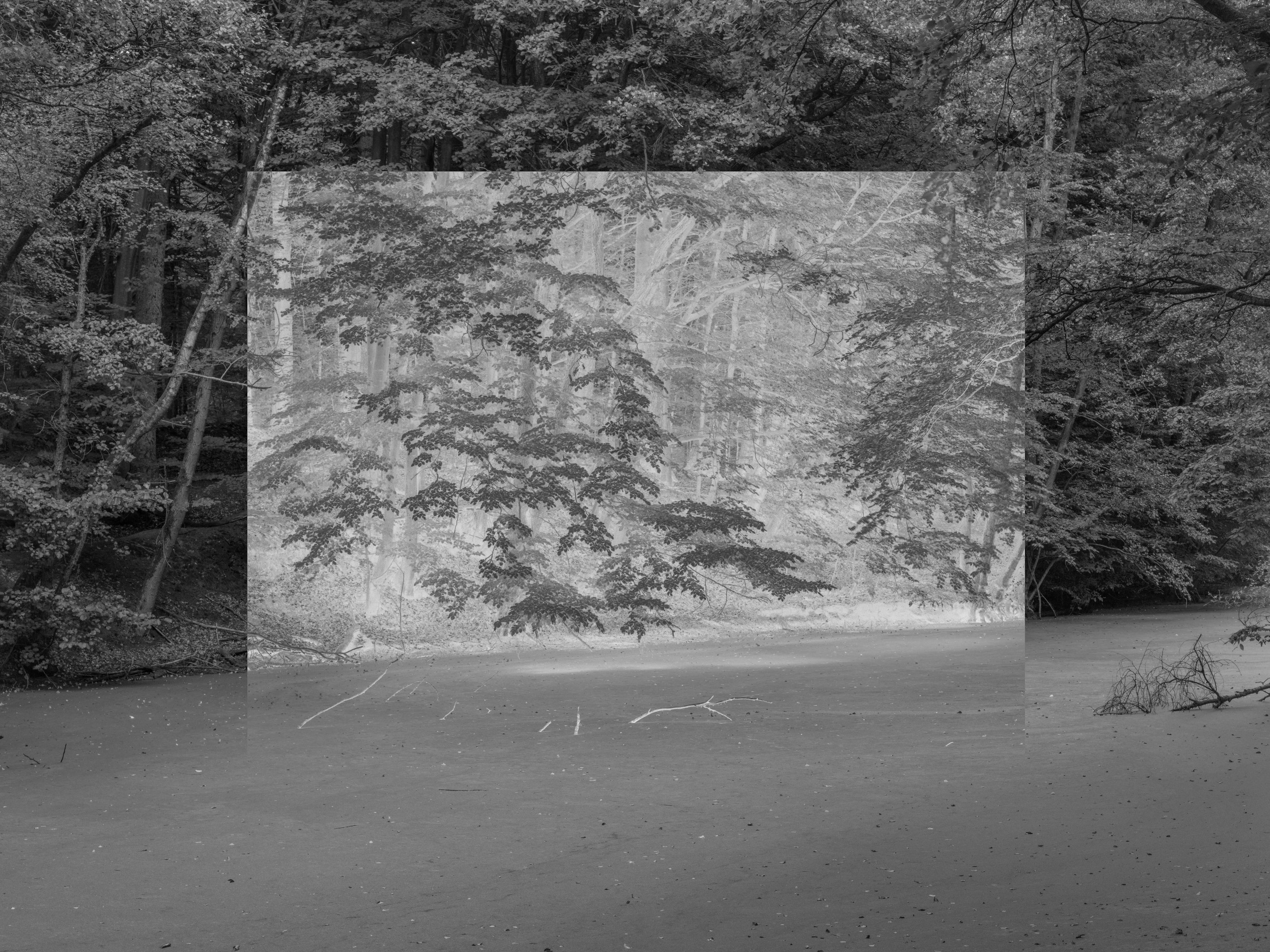Untitled (P 1707)